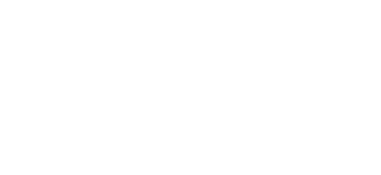 ChamSys