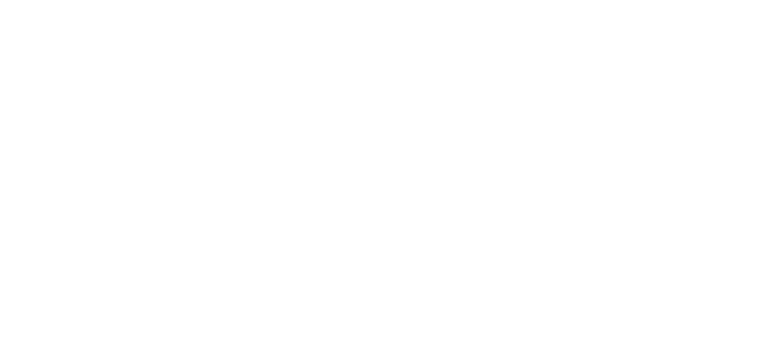 Chauvet Pro